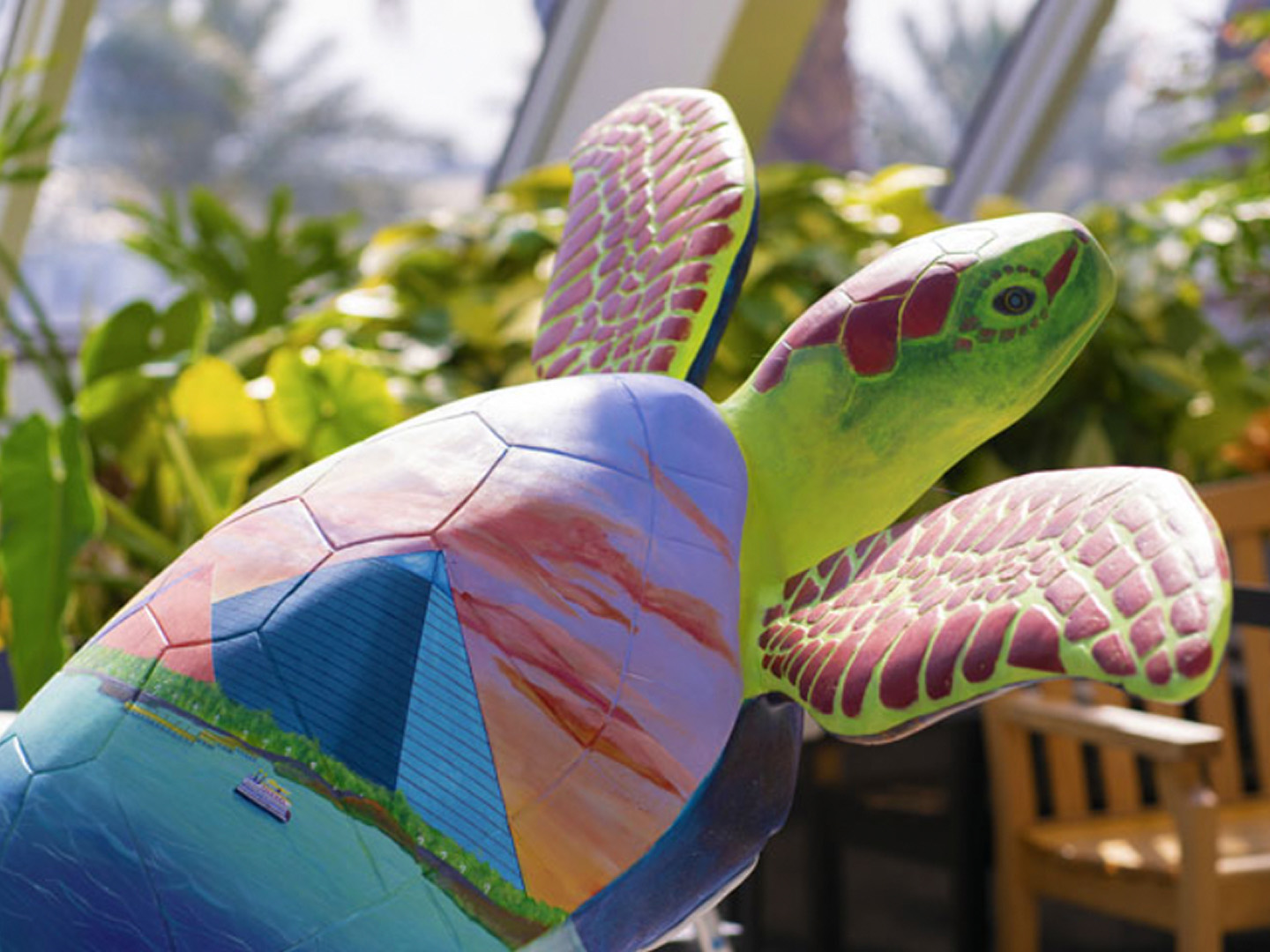 Turtles About Town