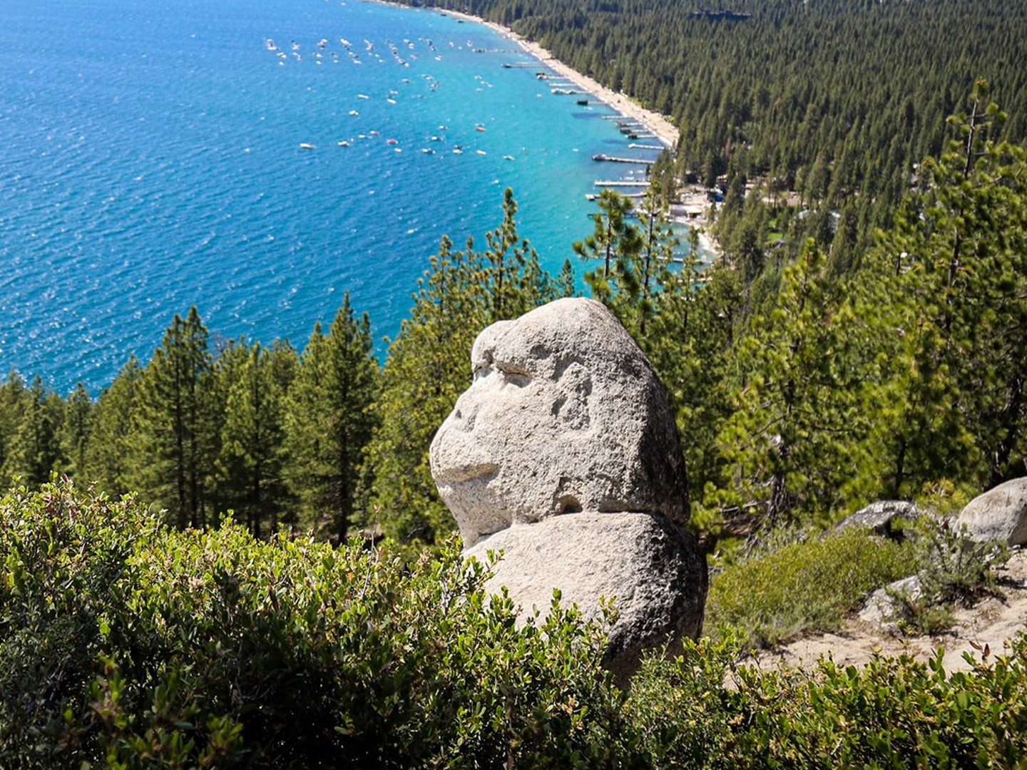 Monkey Rock