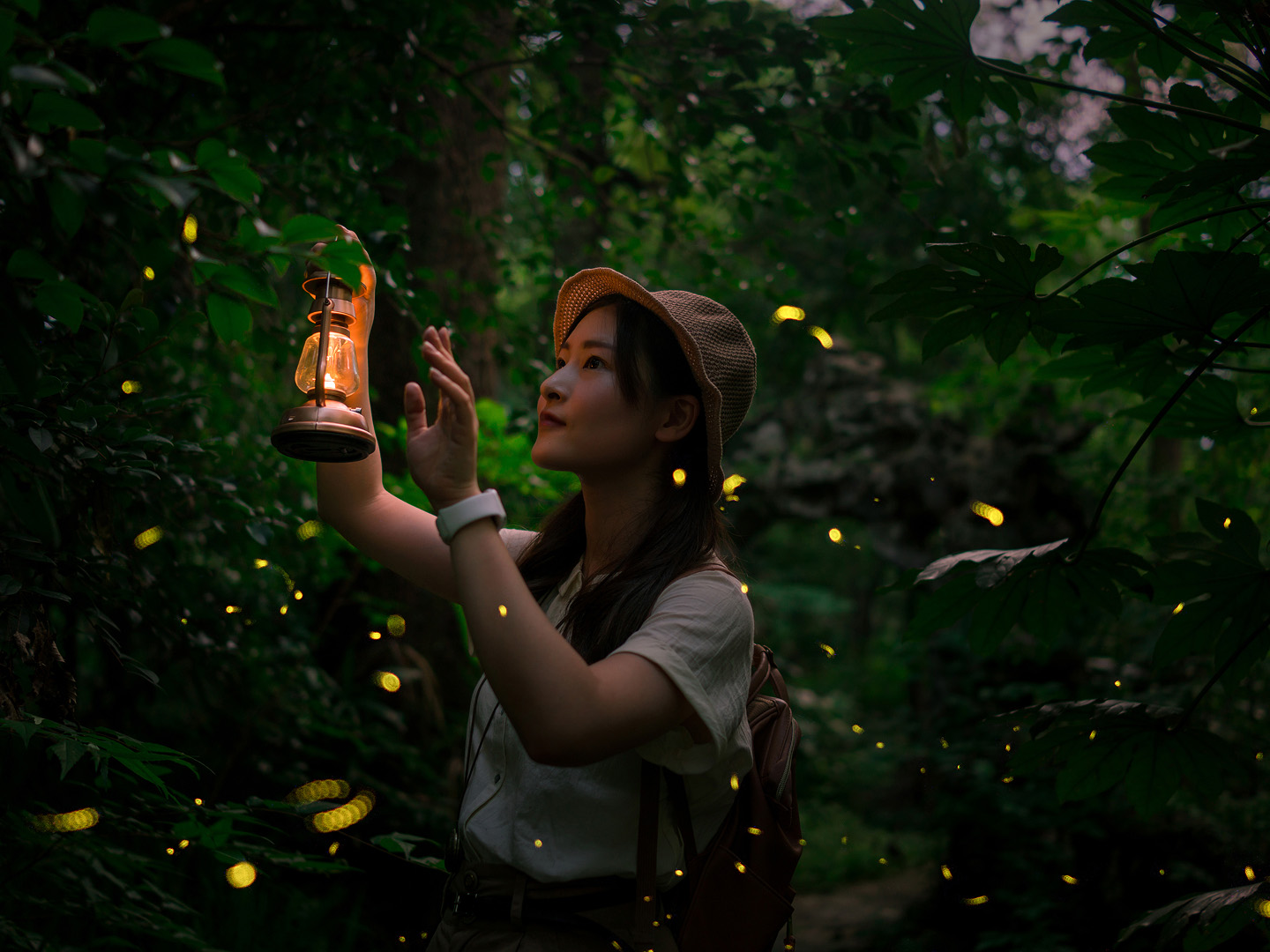 The Great Smoky Firefly Event