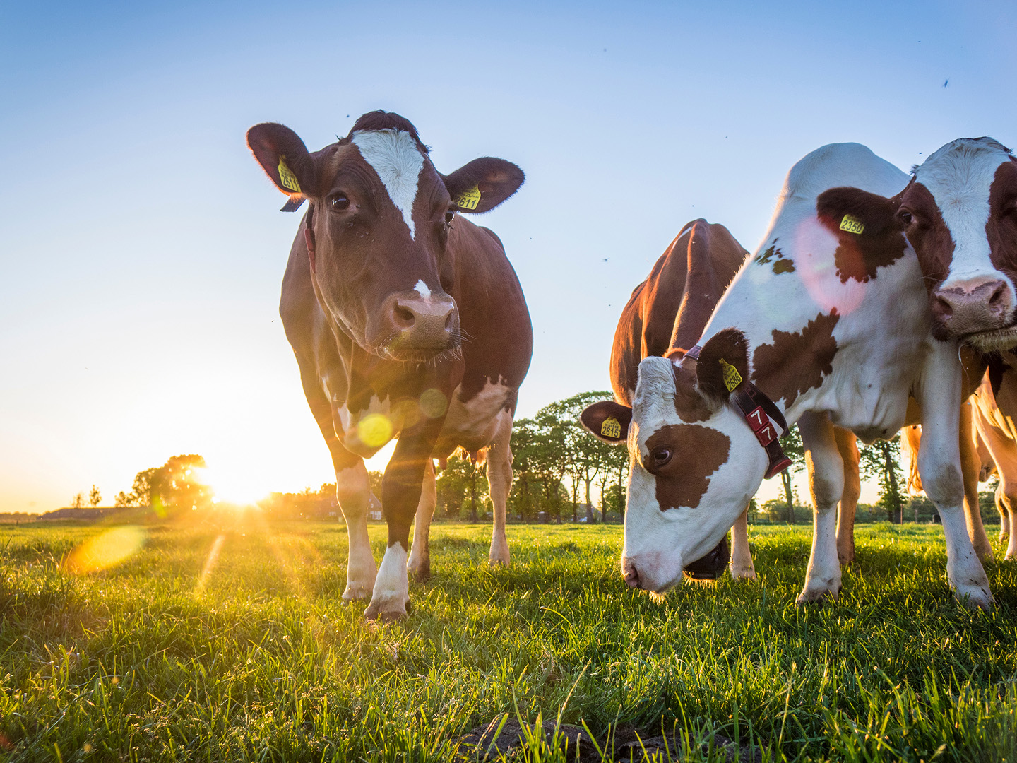 L.W. Paul Living History Farm