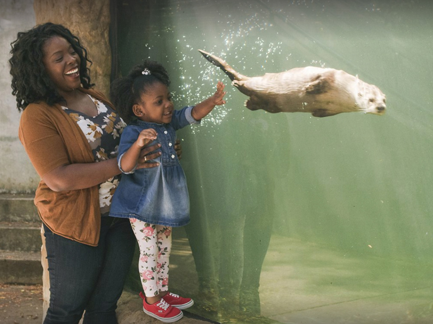 Virginia Living Museum